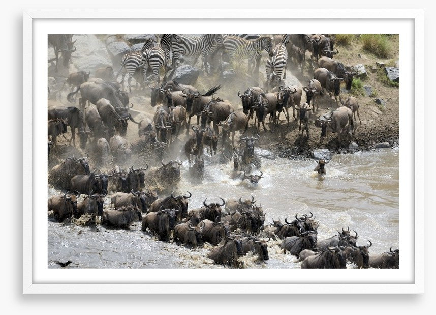 Africa