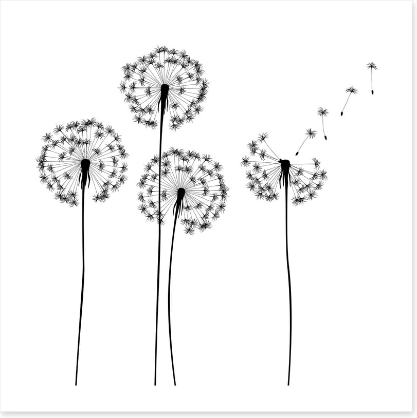 Make a wish