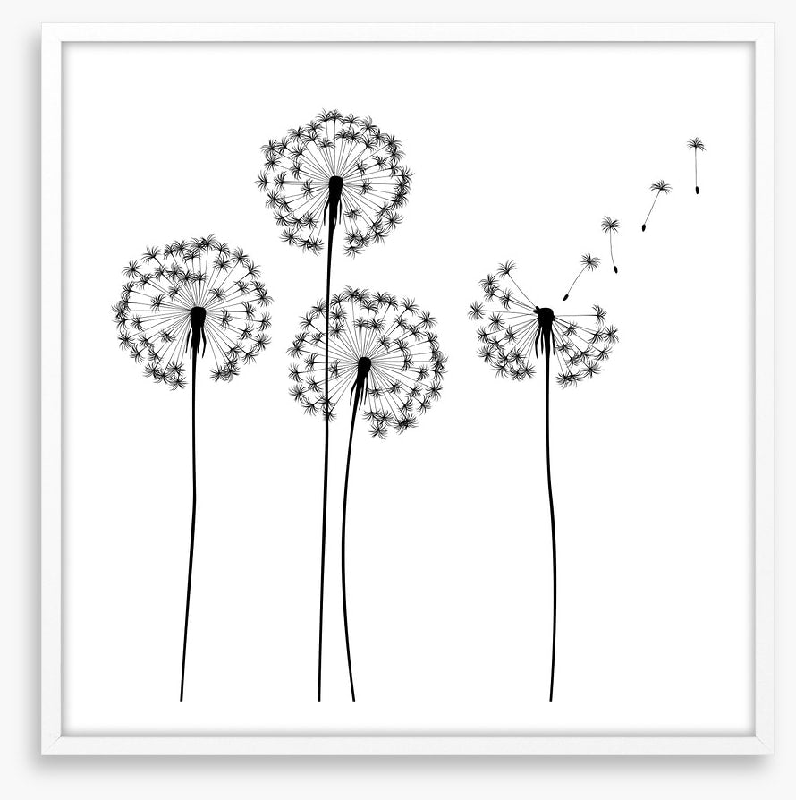 Make a wish