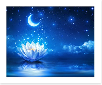 Waterlily moon dust