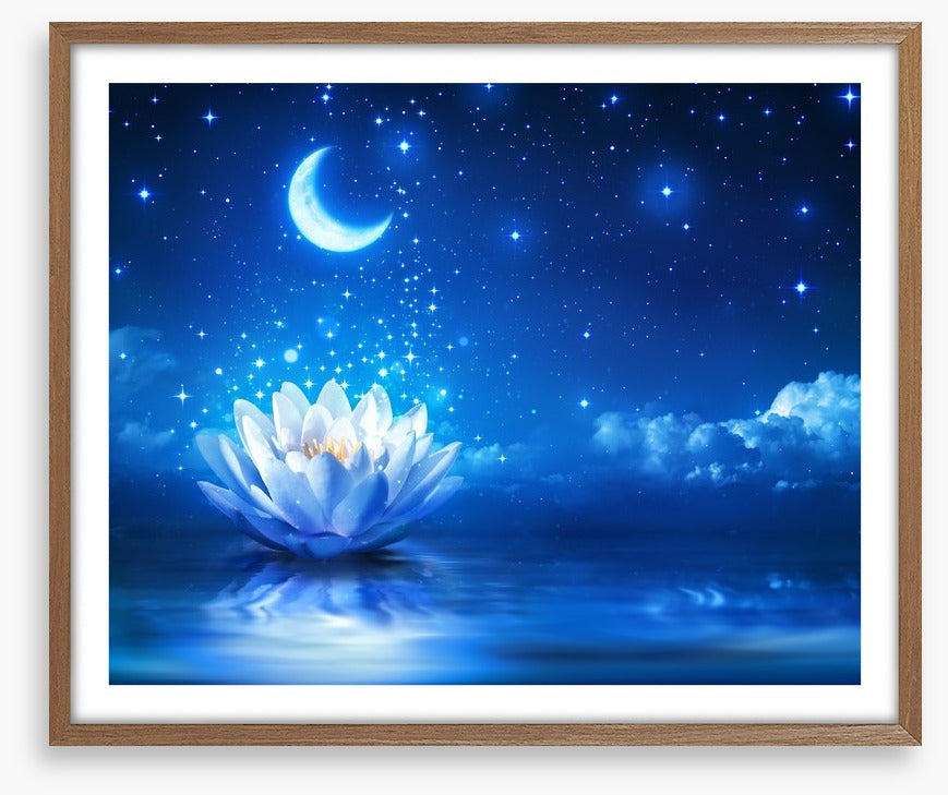 Waterlily moon dust