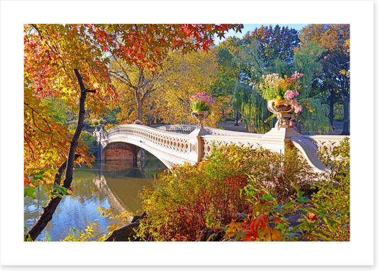 Bow Bridge beauty