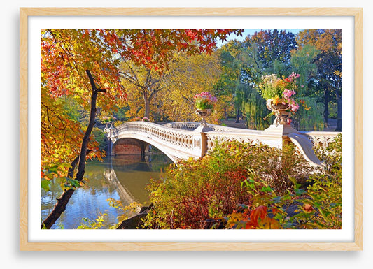 Bow Bridge beauty