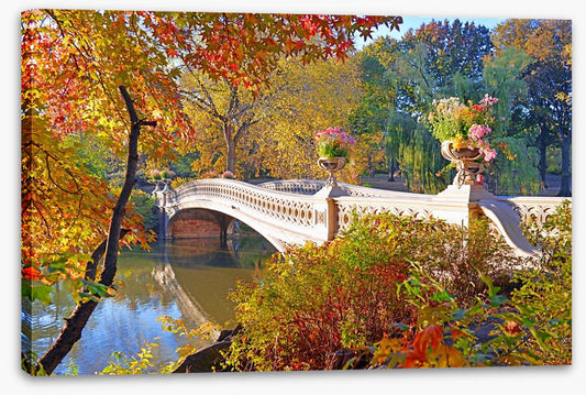 Bow Bridge beauty
