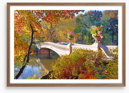 Bow Bridge beauty