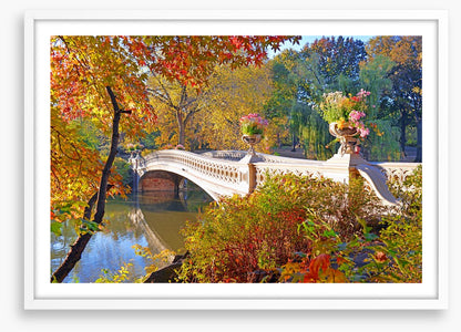 Bow Bridge beauty