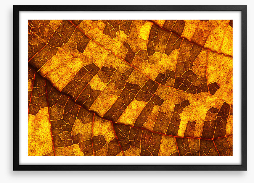 Skeleton leaf gold