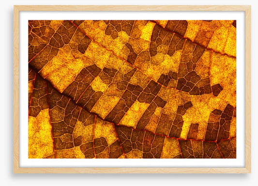 Skeleton leaf gold