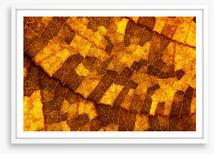 Skeleton leaf gold