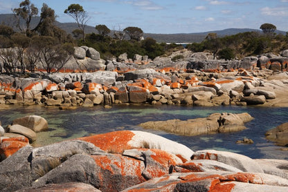 Boulders of fire, Tasmania