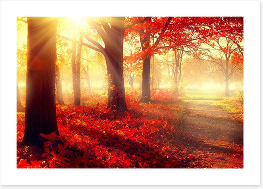 Autumn park sunlight