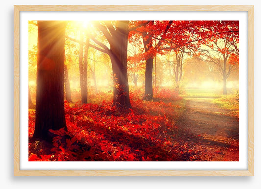 Autumn park sunlight