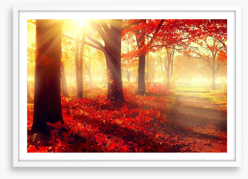 Autumn park sunlight