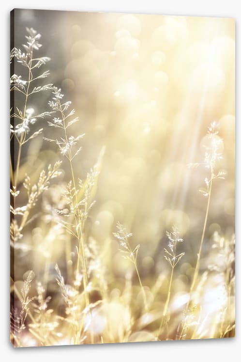 Golden days