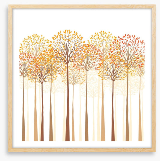 Autumn trees