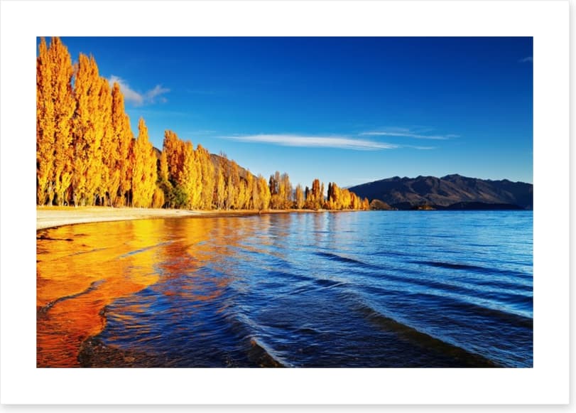 Golden shores