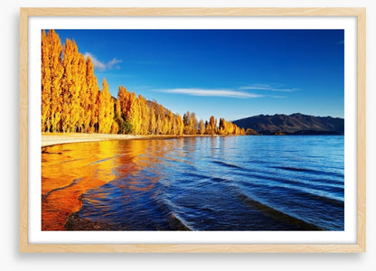 Golden shores