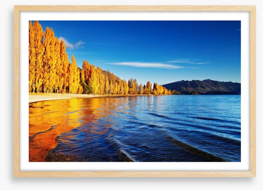 Golden shores