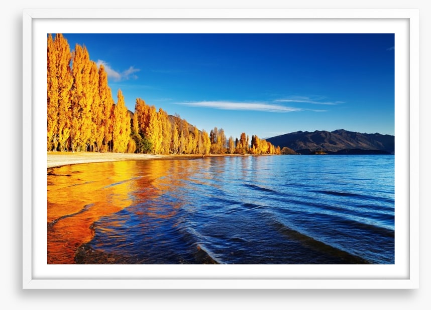 Golden shores
