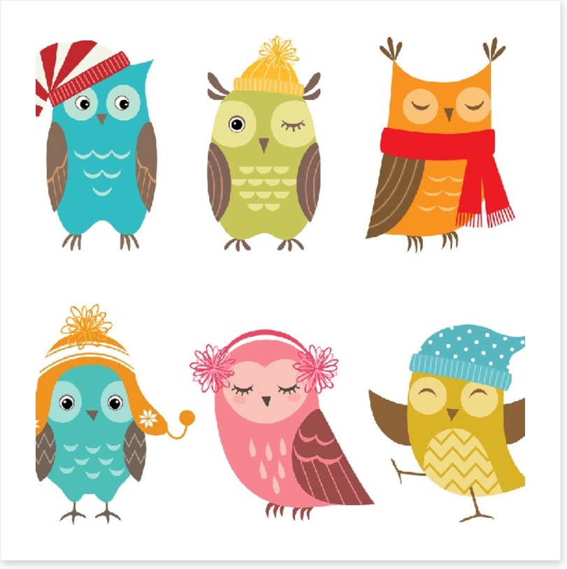 Owls