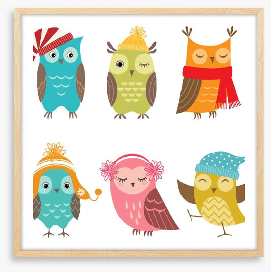 Owls