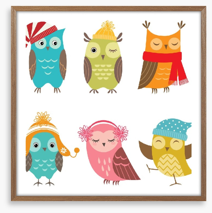 Owls