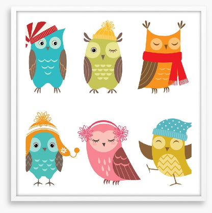 Owls