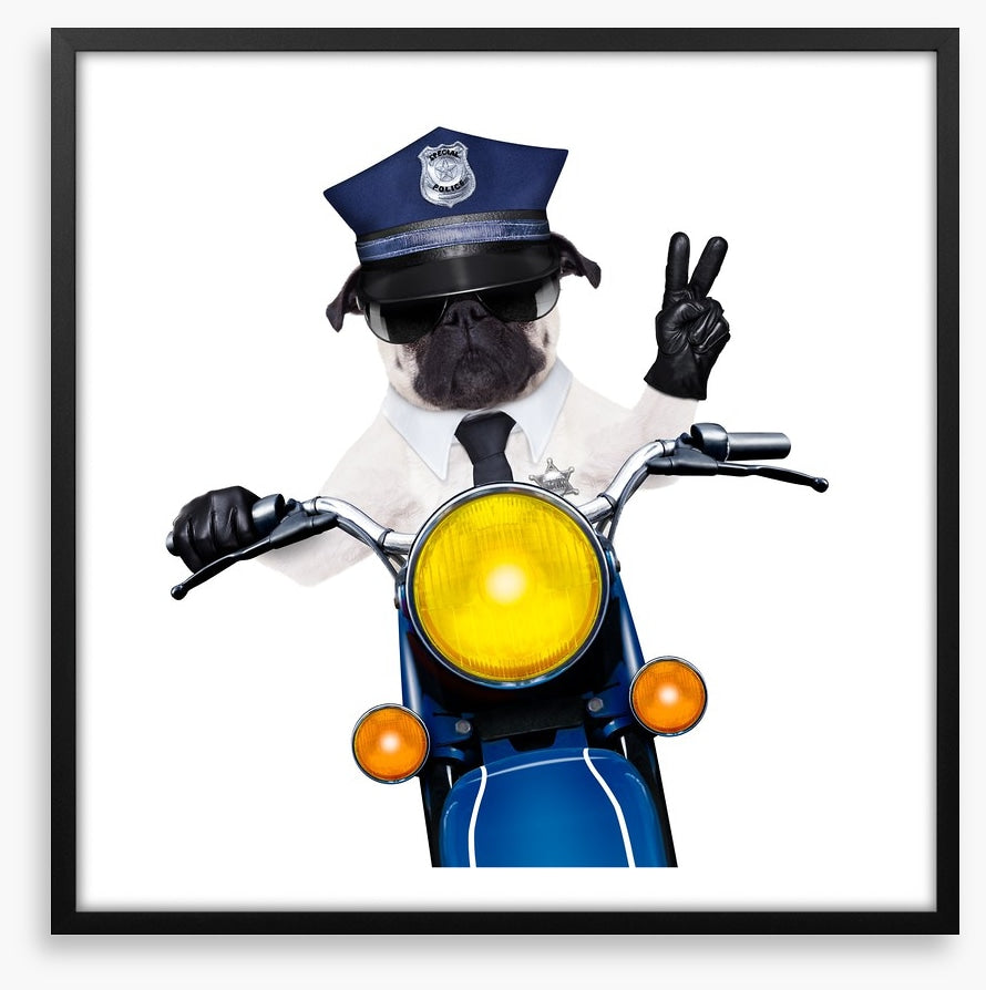 Police dog