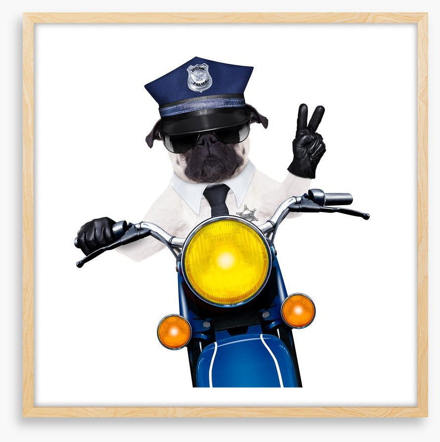 Police dog