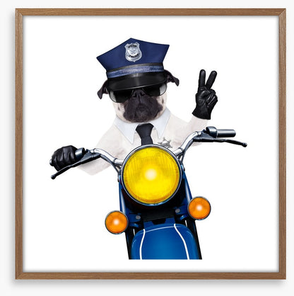 Police dog