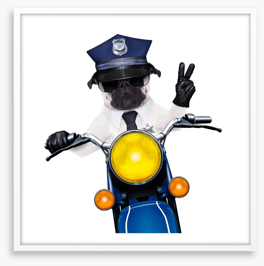 Police dog