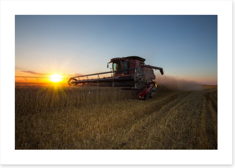 Agriculture