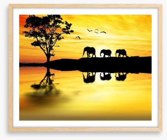 Elephant safari