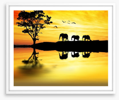 Elephant safari