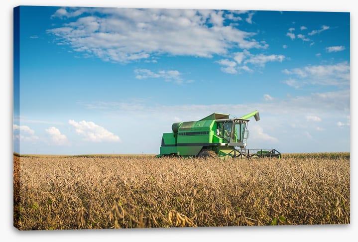 Agriculture
