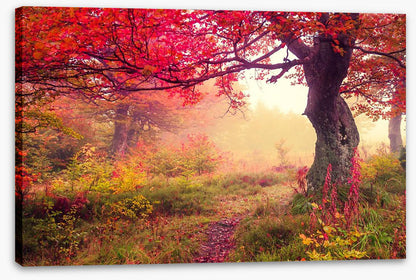 Under the scarlet tree