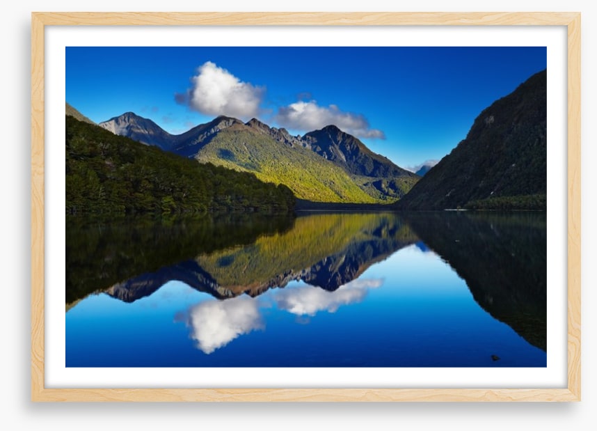 Lake Gunn reflections