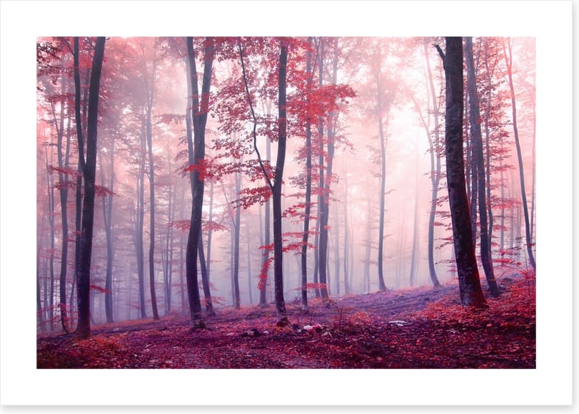 Mist and mystery