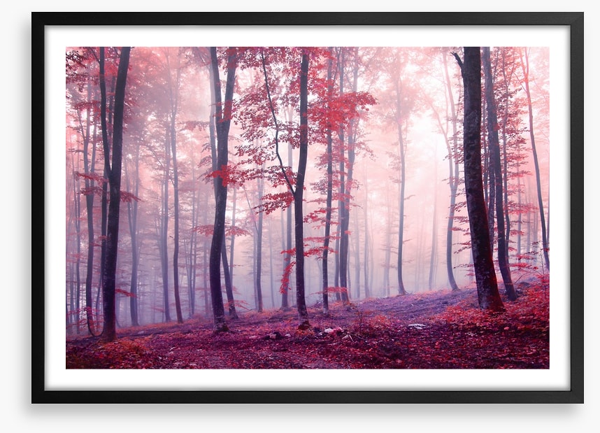 Mist and mystery