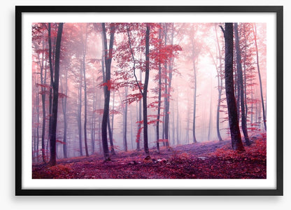 Mist and mystery