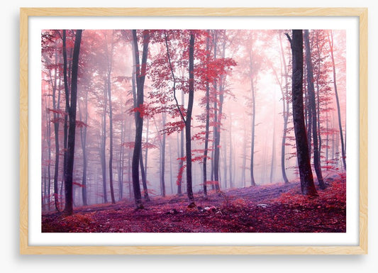Mist and mystery