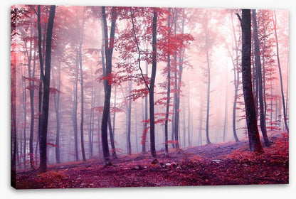 Mist and mystery
