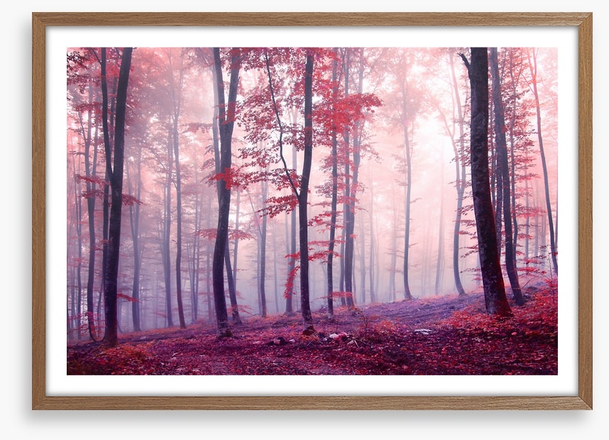 Mist and mystery