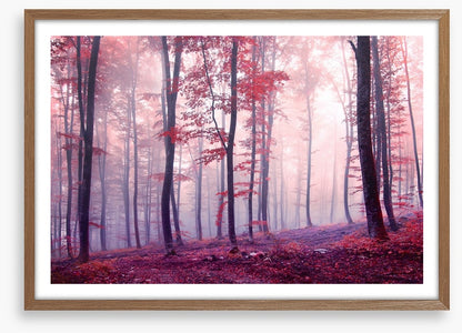 Mist and mystery