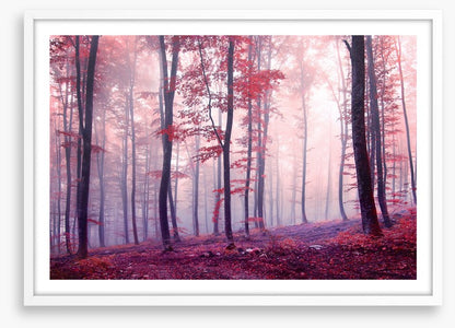 Mist and mystery