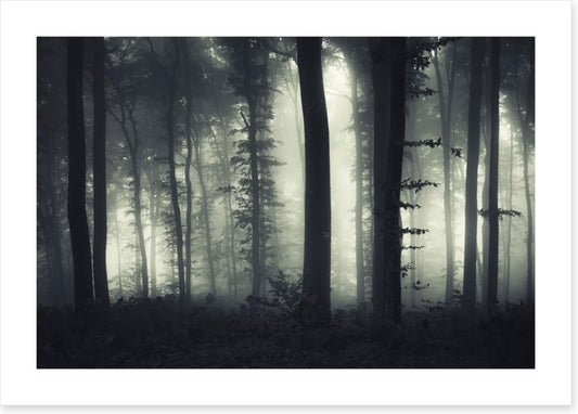 Foreboding forest