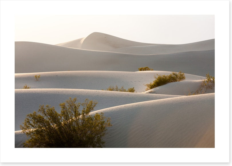 Desert