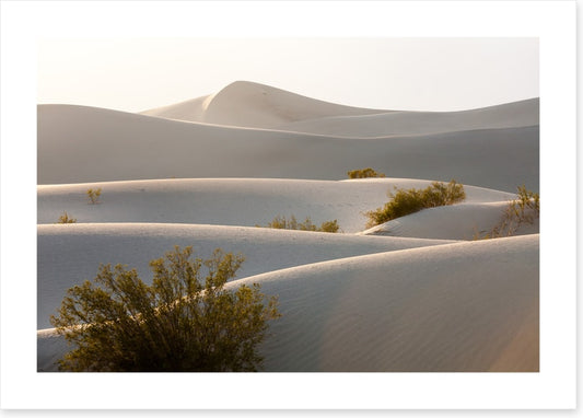 Desert