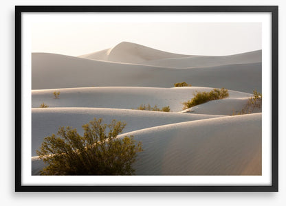 Desert