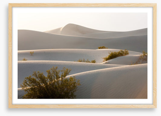 Desert